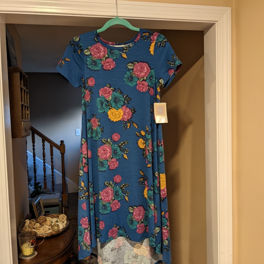 LuLaRoe High Low XXS T-Shirt Dress